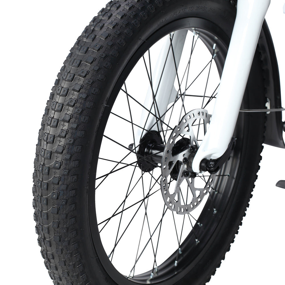 PHILODO Traveller Family & Cargo Electric Bike