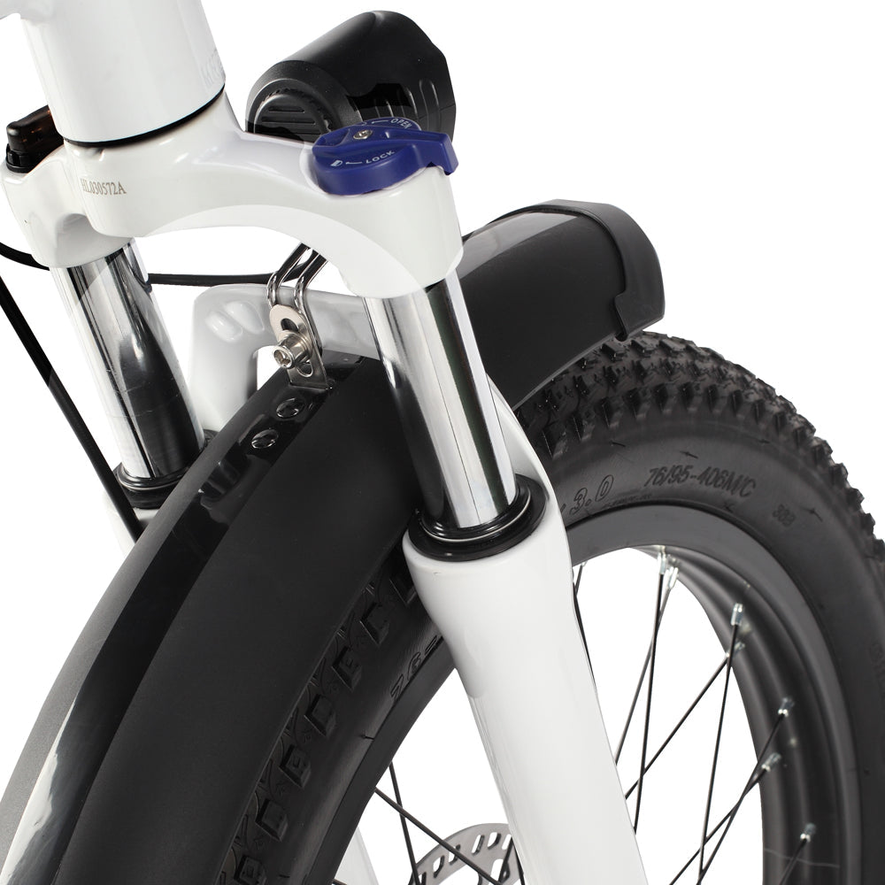 PHILODO Traveller Family & Cargo Electric Bike