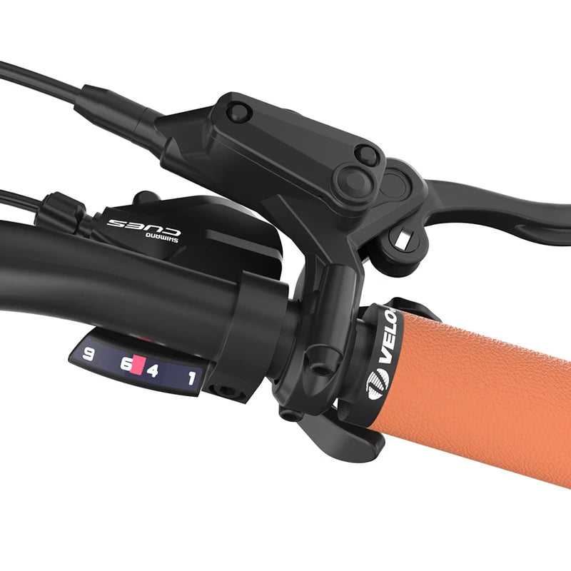 Fafrees F700M Electric Bike 100km