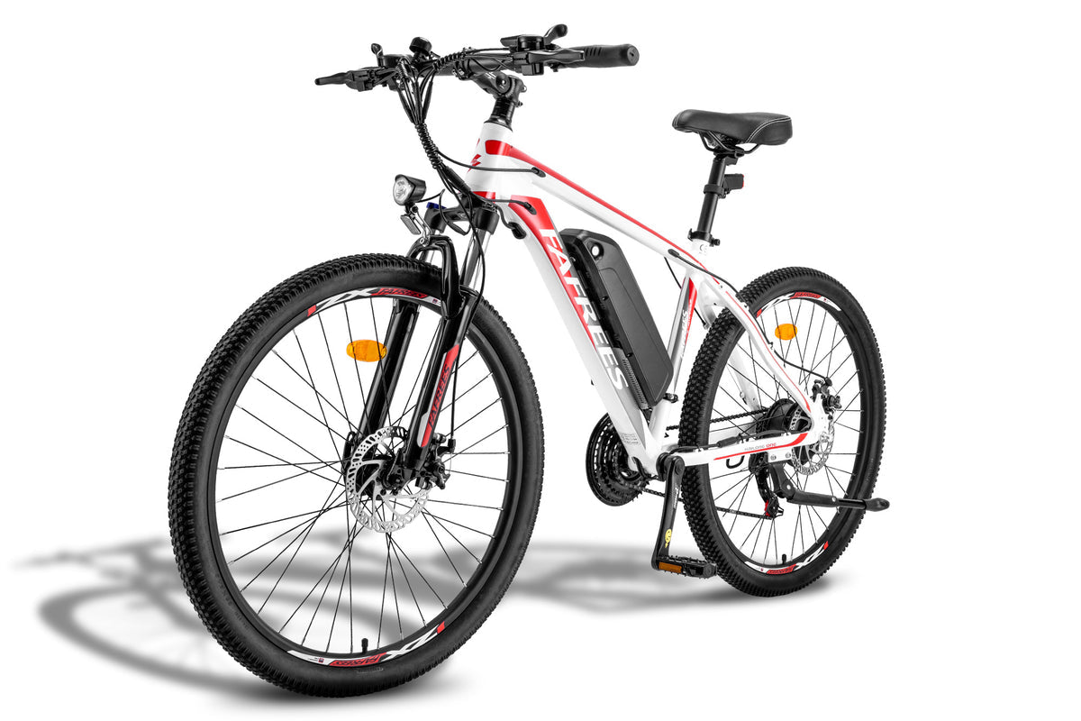 FAFREES Hailong One Electric Bike