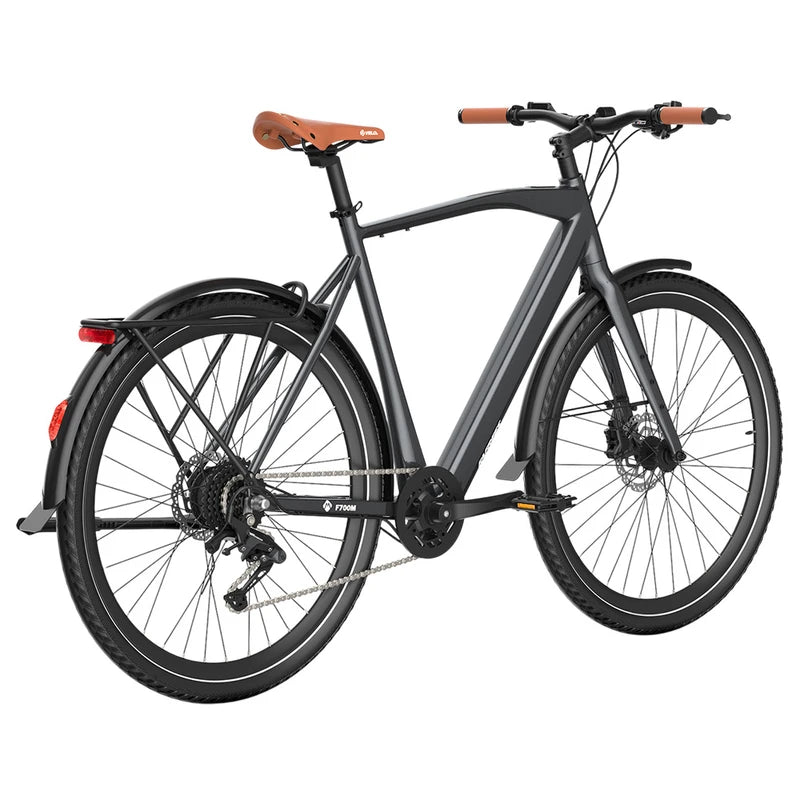 Fafrees F700M Electric Bike 100km