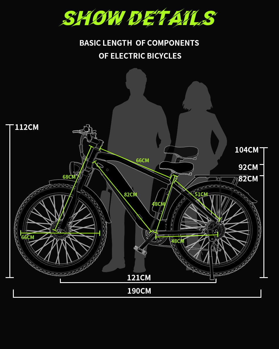 DUOTTS F26 PRO 750 W*2 Electric Bike