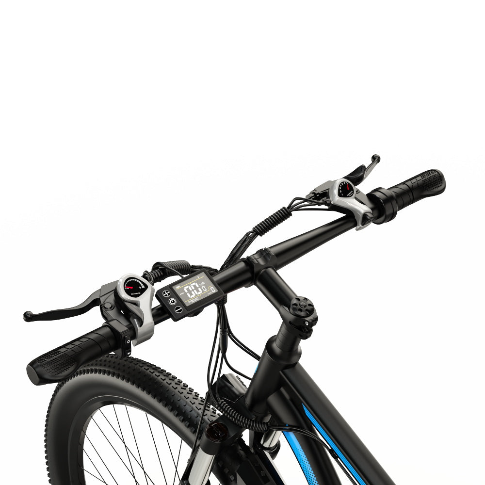 DUOTTS C29 PRO Electric Bike 50km/h