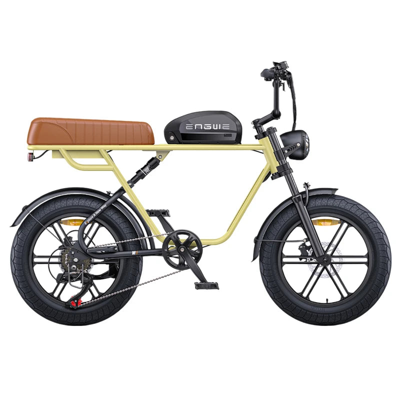 ENGWE M1 Electric Bike 15.6Ah+13Ah