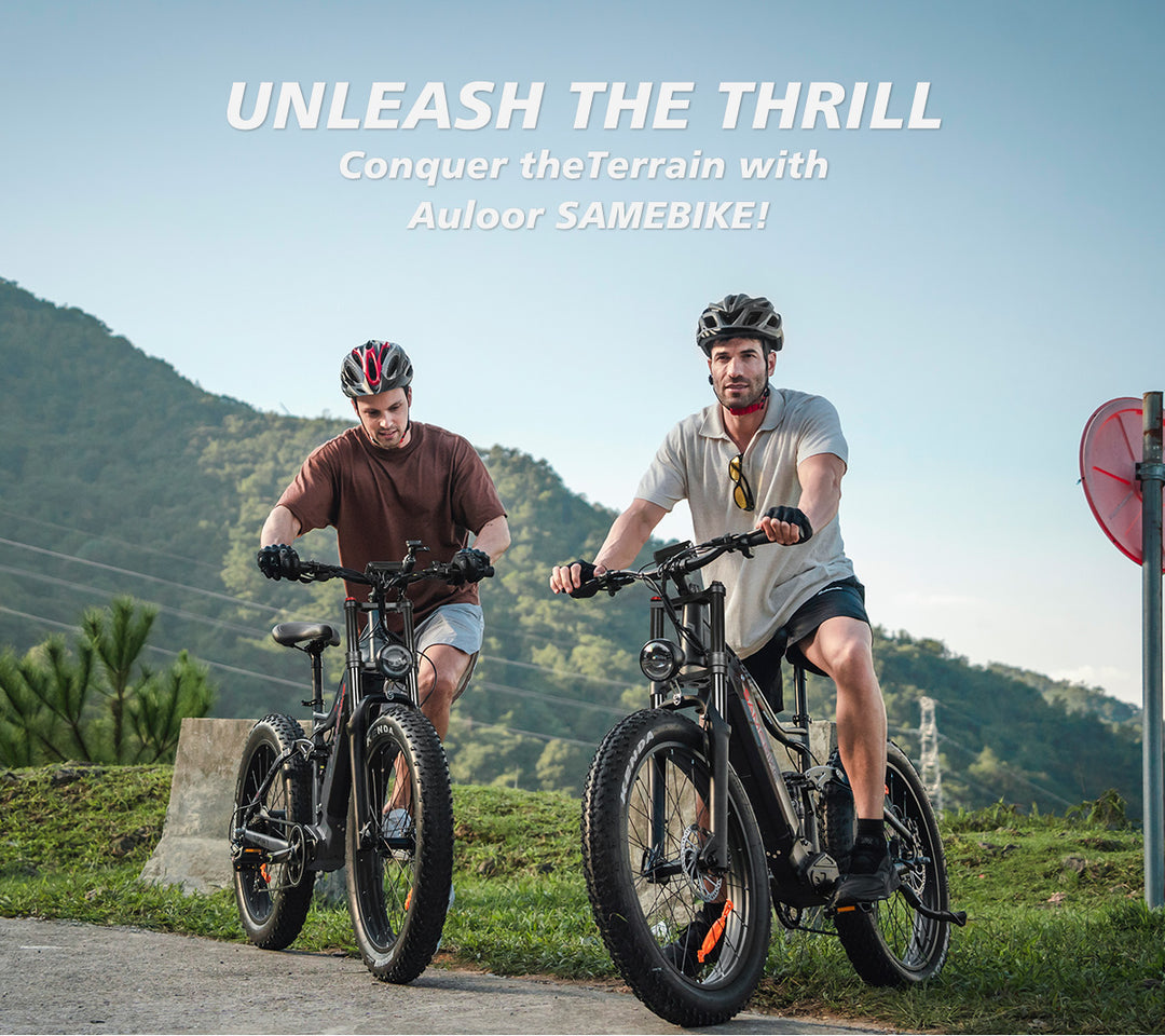 SAMEBIKE RSA08-II All-terrain Electric Bike