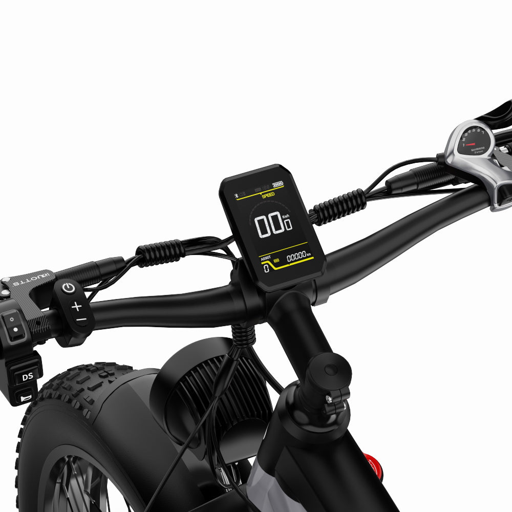 DUOTTS F26 PRO 750 W*2 Electric Bike