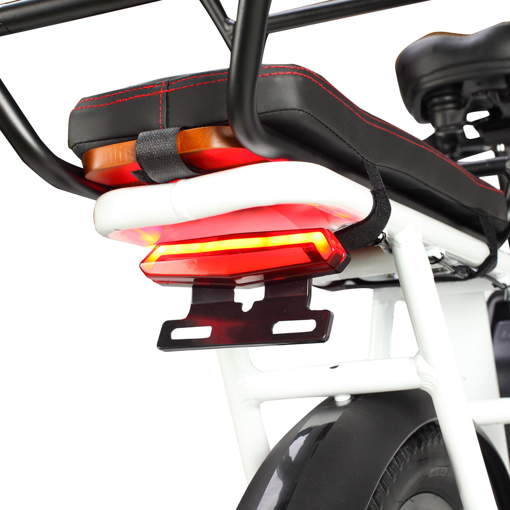 PHILODO Traveller Family & Cargo Electric Bike