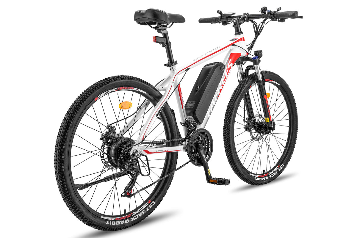 FAFREES Hailong One Electric Bike