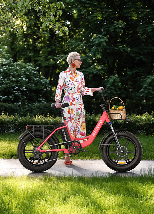 ENGWE L20 Electric Bike