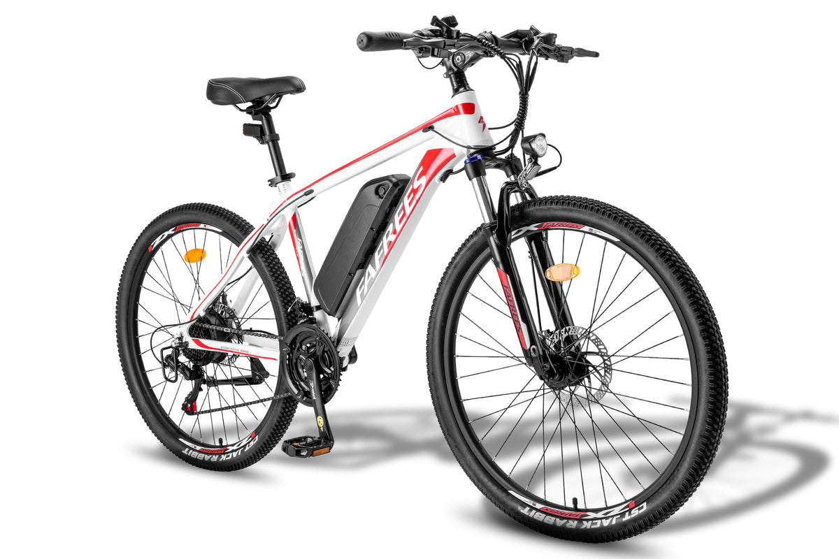 FAFREES Hailong One Electric Bike