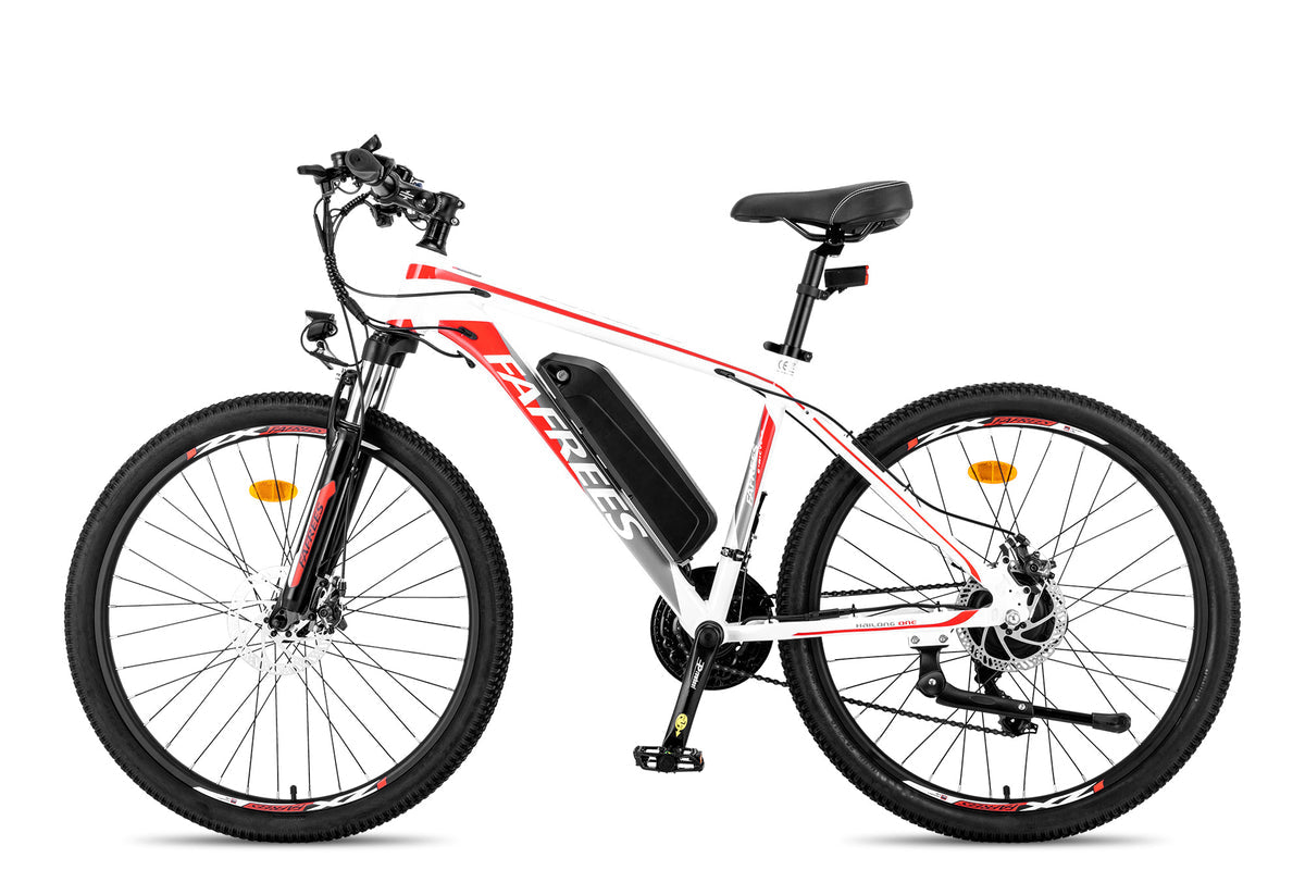 FAFREES Hailong One Electric Bike