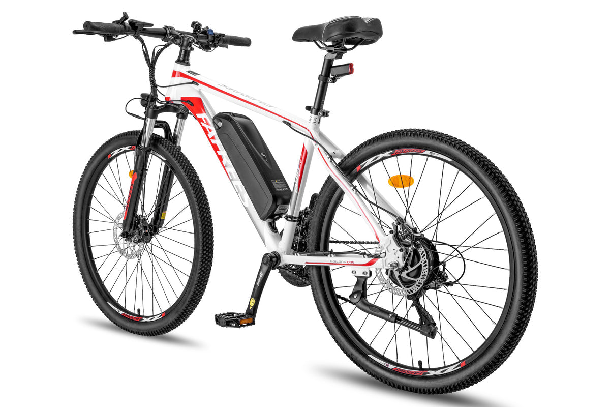 FAFREES Hailong One Electric Bike