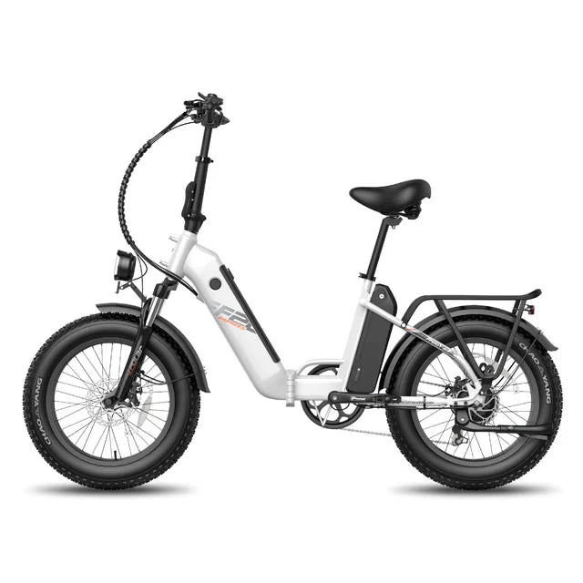 FAFREES F20 Polar Electric Bike