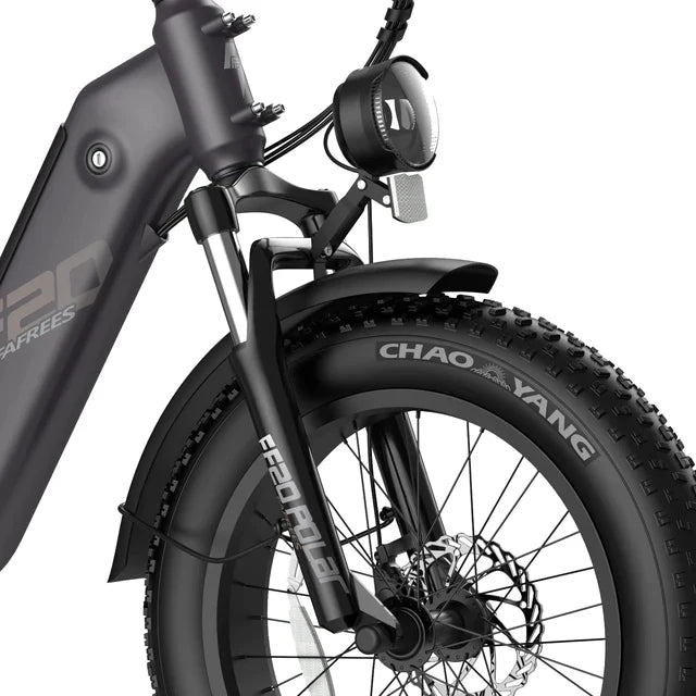 FAFREES F20 Polar Electric Bike